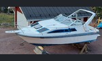 Bayliner 2550 Cierra Sunbridge-kuva-15